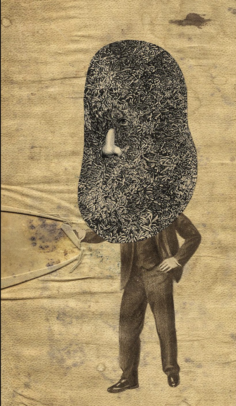 Autorretrato collage de Dani Sanchis, con un rostro cubierto de recortes de hierba y un cuerpo en tonos sepia